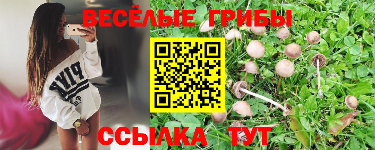 Камышлов  Псилоцибиновые грибы Magic Shrooms  купить  сайты  Вход с VPN  Псилоцибиновые грибы мухоморы 