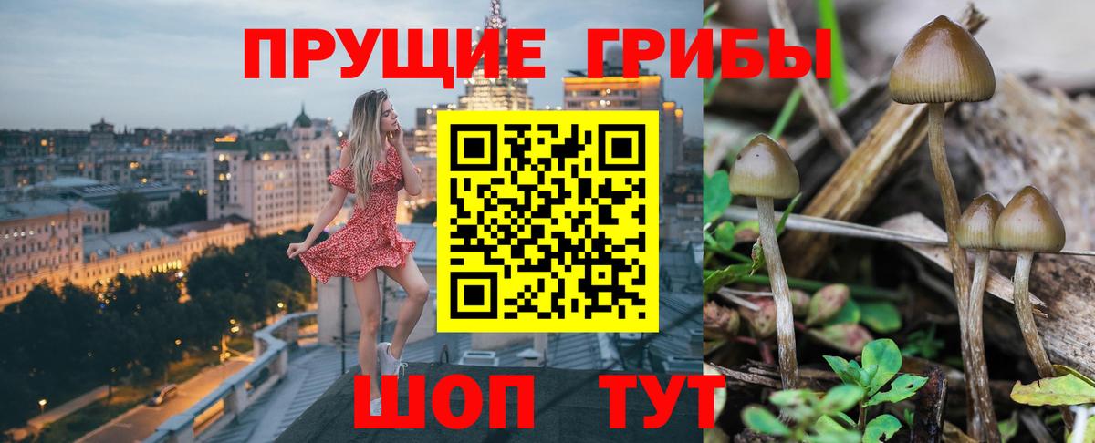 Галлюциногенные грибы мухоморы Камышлов